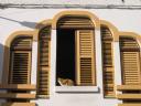 A Kitty Sits in the Window of the Residences Above the Shops on Rue Victor Hugo