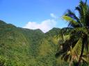 St. Lucia's Beautiful Tropical Rainforest