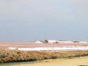 Bonaire's Southern Coast is Dominated by 9000 Acres of Salt Ponds